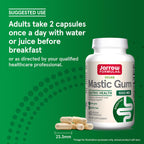 Jarrow Formulas, Vegan Mastic Gum, 60 Veg Capsules (500 mg per Capsule)