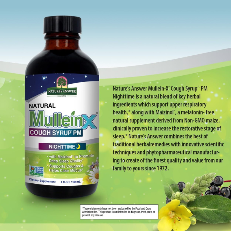 Nature's Answer, Natural Mullein-X® Cough Syrup PM, Nighttime, 4 fl oz (120 ml)