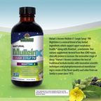 Nature's Answer, Natural Mullein-X® Cough Syrup PM, Nighttime, 4 fl oz (120 ml)